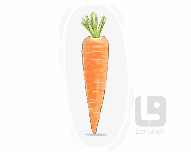 carrot definition and meaning