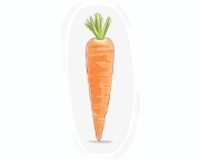 carrot