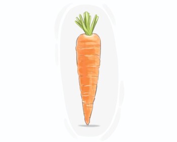 carrot
