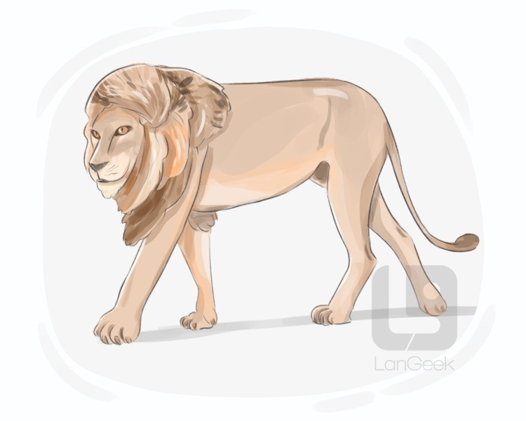 panthera leo definition and meaning