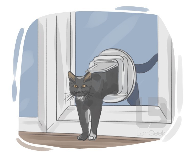 cat door definition and meaning