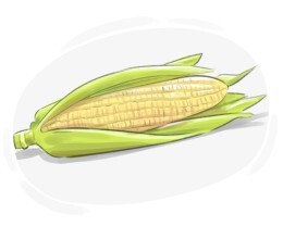 corn