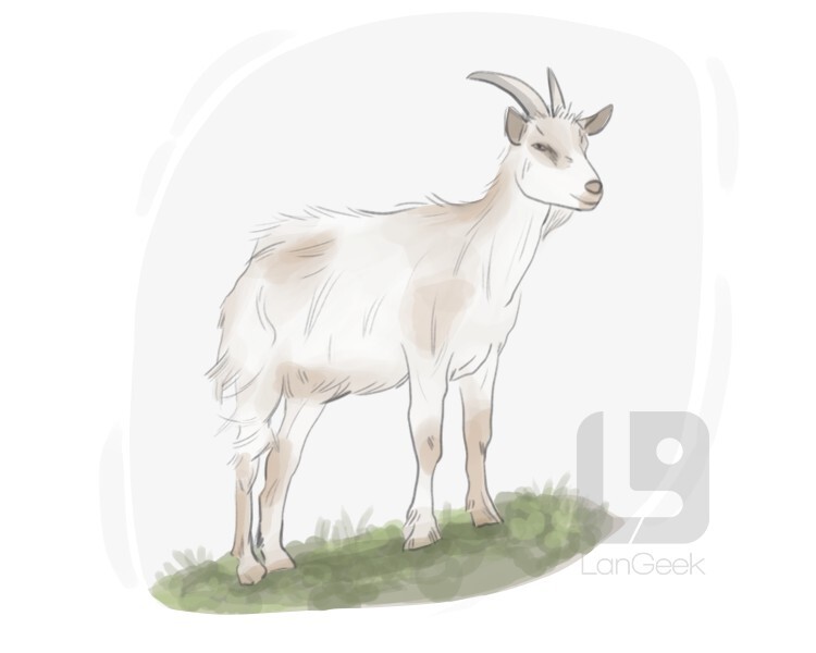 teacher-what-s-meaning-of-goat-ronaldomessi-soccer-best-best