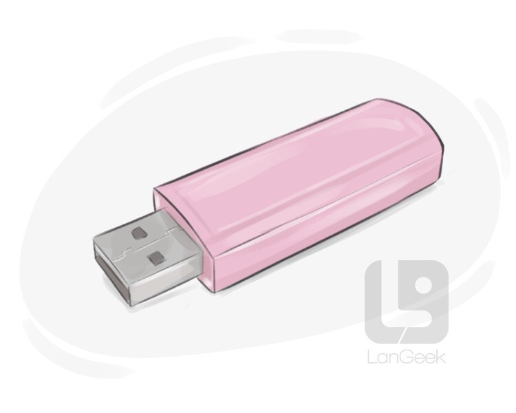 Definition & Meaning of "Flash drive" LanGeek