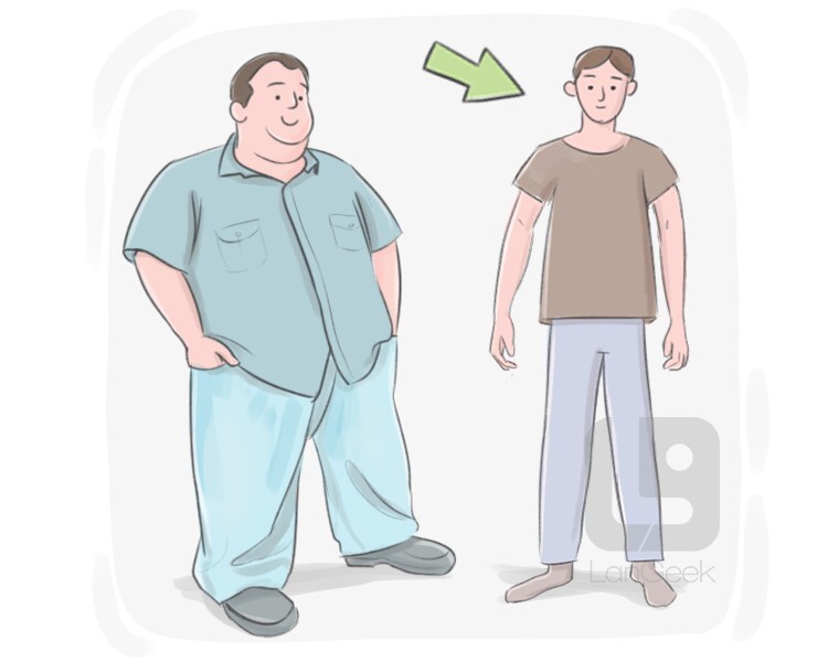 Definition Meaning Of Thin LanGeek