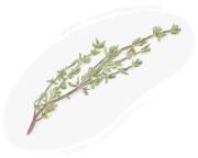 thyme