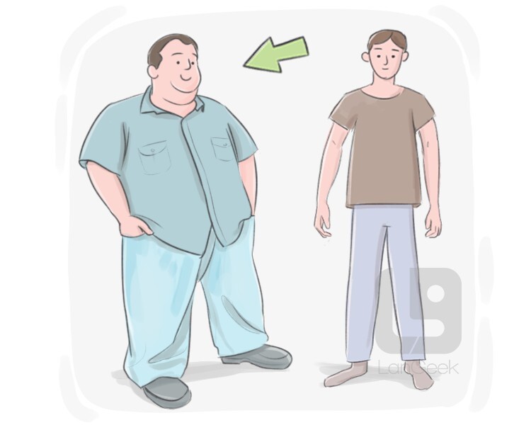 overweight definition and meaning