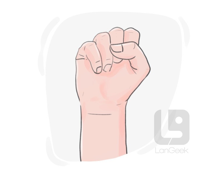 clenched fist definition and meaning