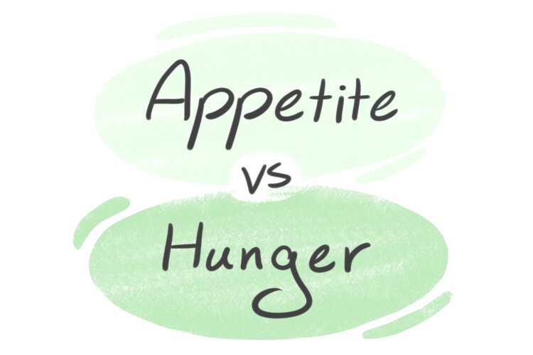 "Appetite" vs. "Hunger" in English LanGeek