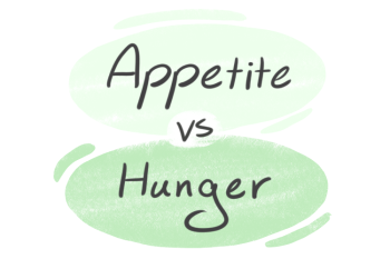 "Appetite" vs. "Hunger" in English