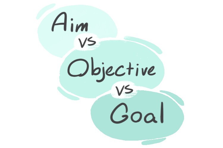 aims and objectives