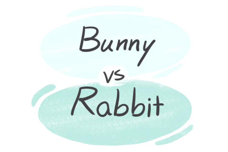 Bunny vs. Rabbit in English