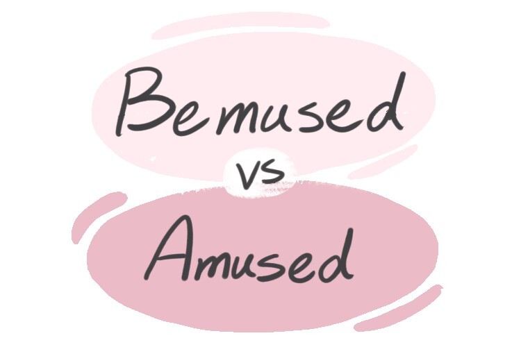 bemused-vs-amused-in-english-langeek