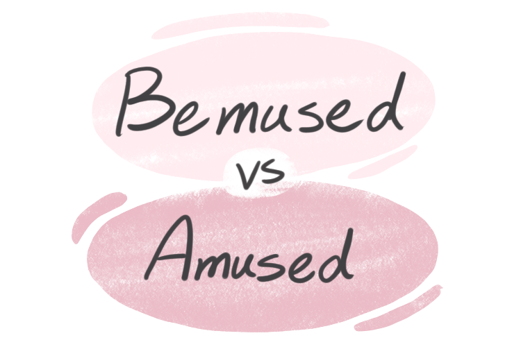 "Bemused" vs. "Amused" in English