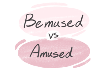 "Bemused" vs. "Amused" in English
