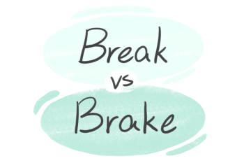"Break" vs. "Brake" in English