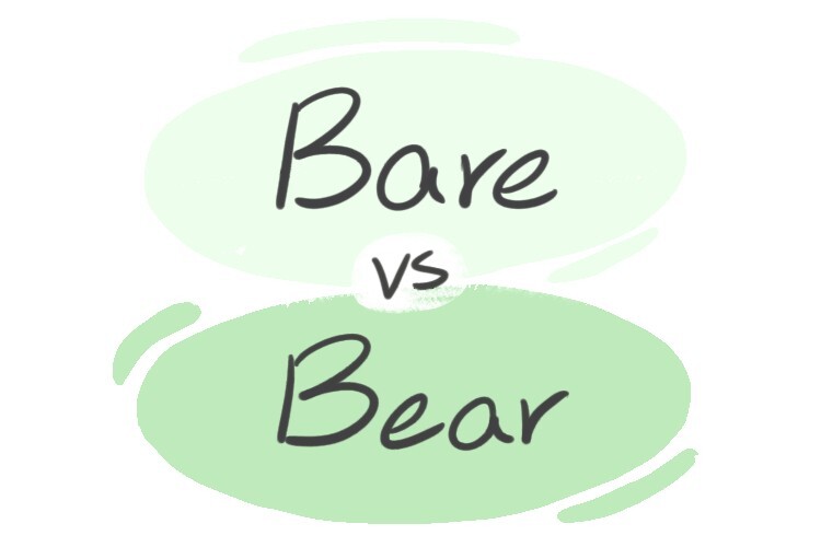  "Bare" vs. "Bear" in English | LanGeek