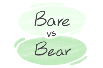 "Bare" vs. "Bear" in English