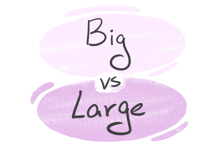 Big vs. Large in English