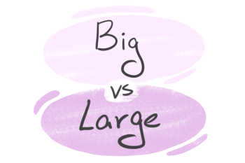 "Big" vs. "Large" in English
