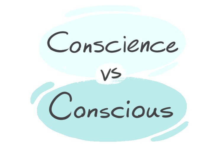 "Conscience" vs. "Conscious" in English LanGeek