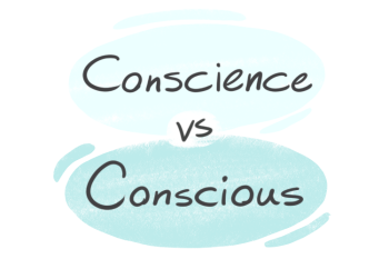 "Conscience" vs. "Conscious" in English