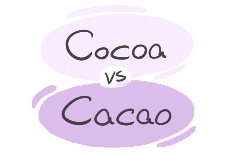 "Cocoa" vs. "Cacao" in English LanGeek