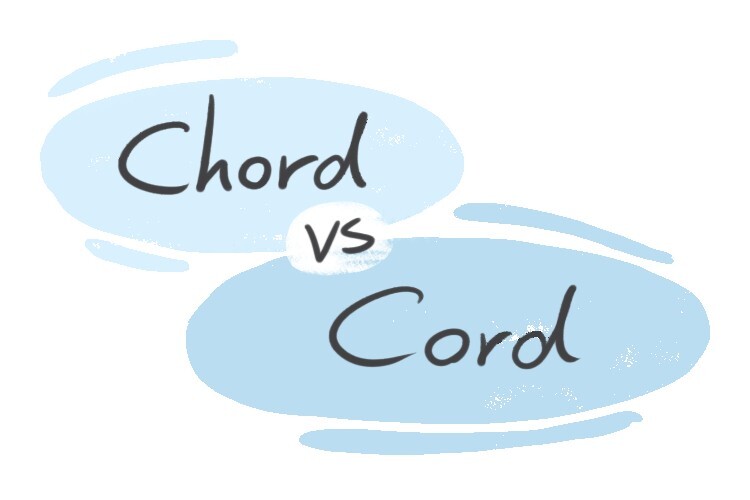 "Chord" vs. "Cord" in English LanGeek