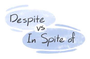 "Despite" vs. "In Spite of" in the English Grammar