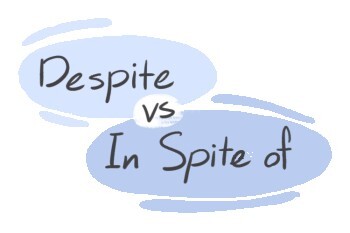 "Despite" vs. "In Spite of" in the English Grammar