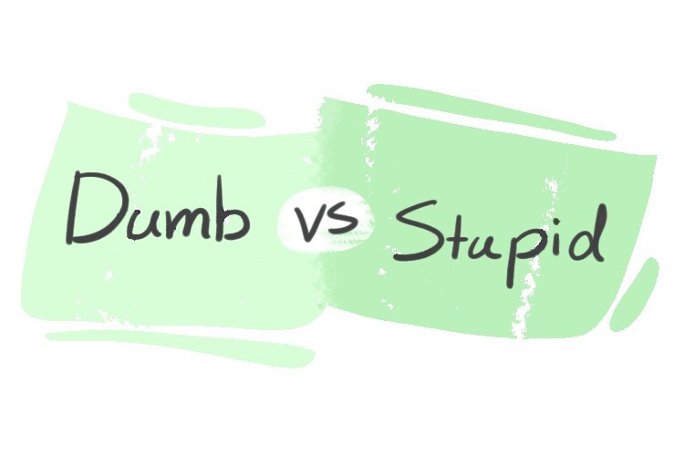 dumb-vs-stupid-in-english-langeek