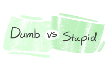 "Dumb" vs. "Stupid" in English
