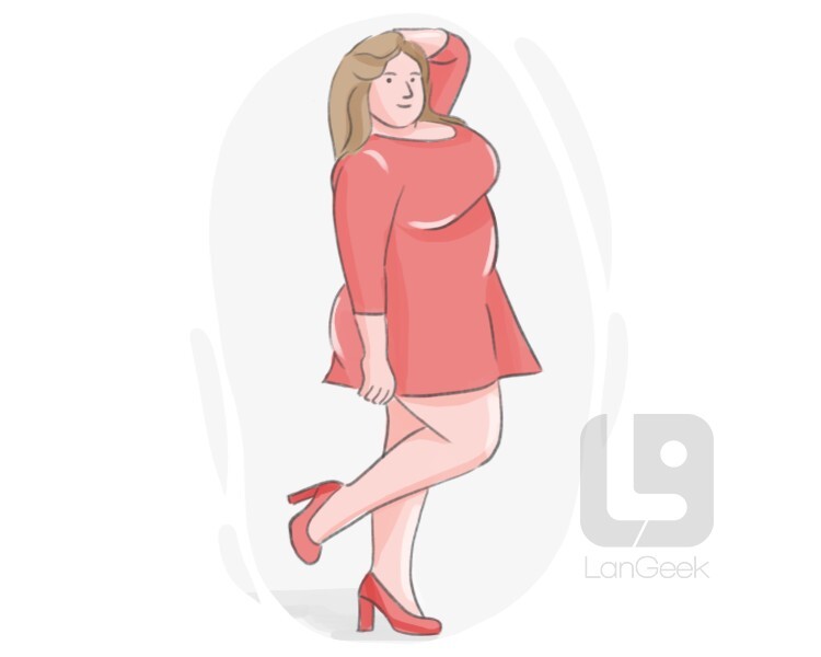 full-figured definition and meaning