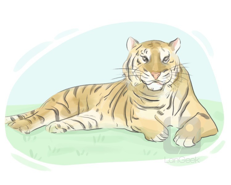 panthera tigris definition and meaning