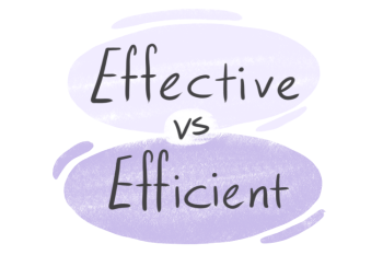 "Effective" vs. "Efficient" in English