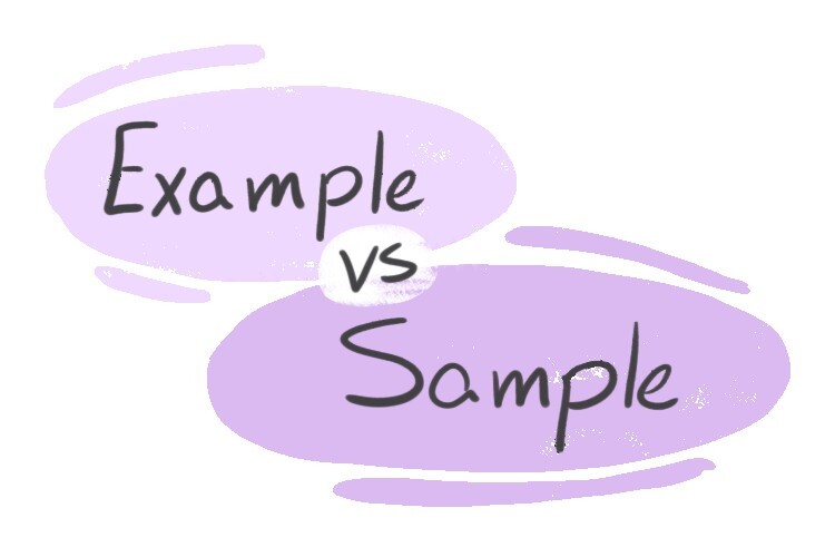 "Example" vs. "Sample" in English LanGeek