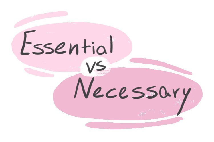 essential-vs-necessary-in-english-langeek