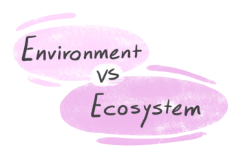"Environment" vs. "Ecosystem" in English