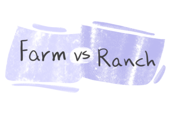 "Farm" vs. "Ranch" in English