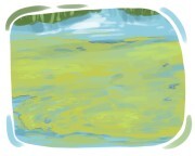 swamp