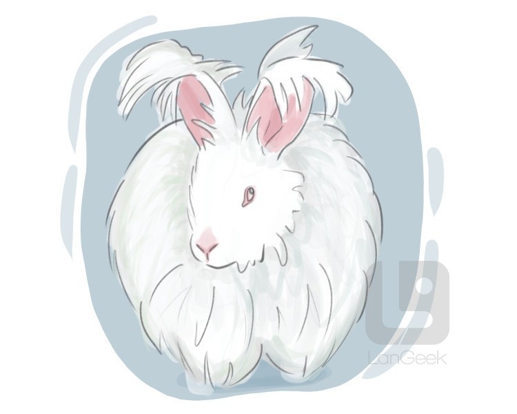 angora rabbit definition and meaning