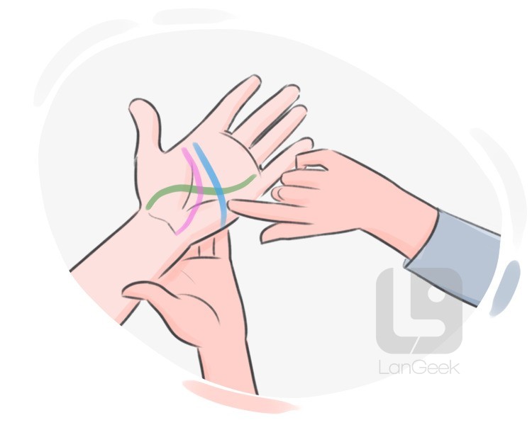 palmistry definition and meaning