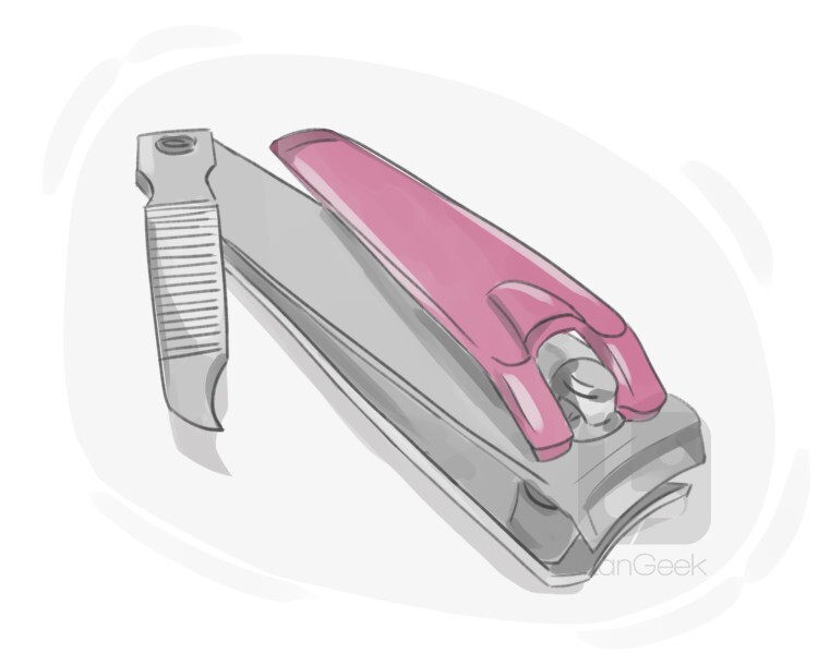 nail clippers definition and meaning