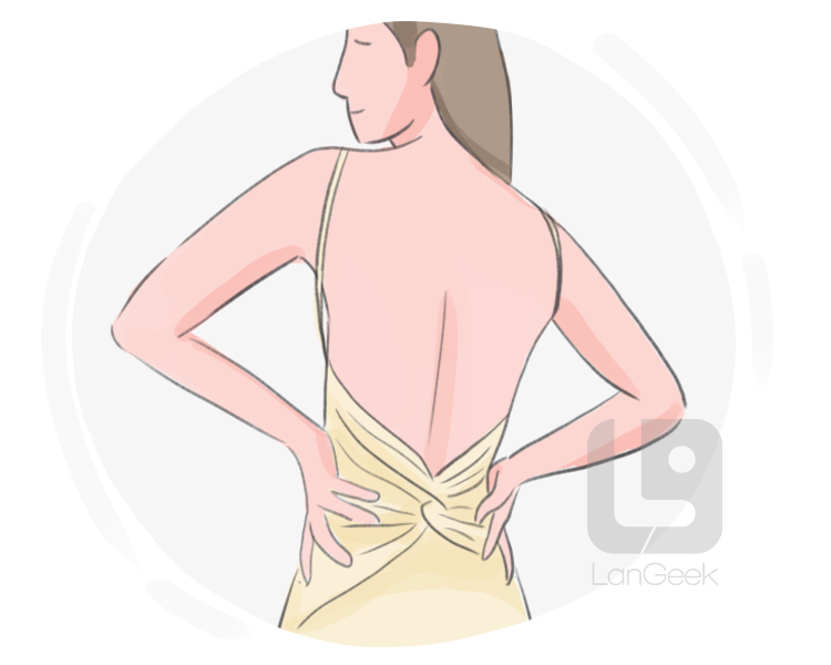 backless definition and meaning