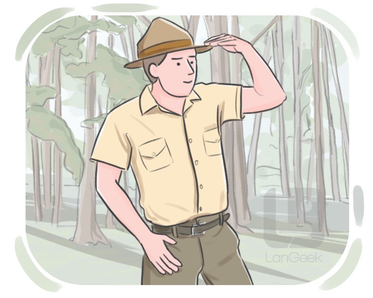 forest fire fighter definition and meaning