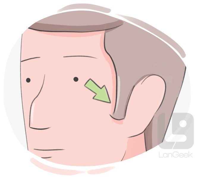 sideburn definition and meaning