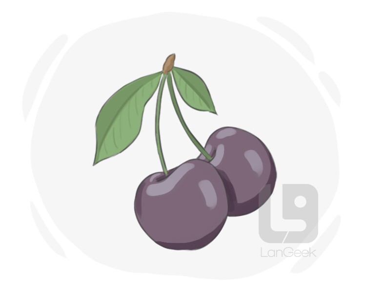 Definition & Meaning of "Black cherry" LanGeek