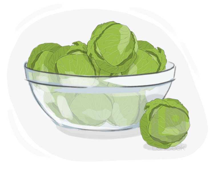 Definition & Meaning of "Brussels sprouts" LanGeek