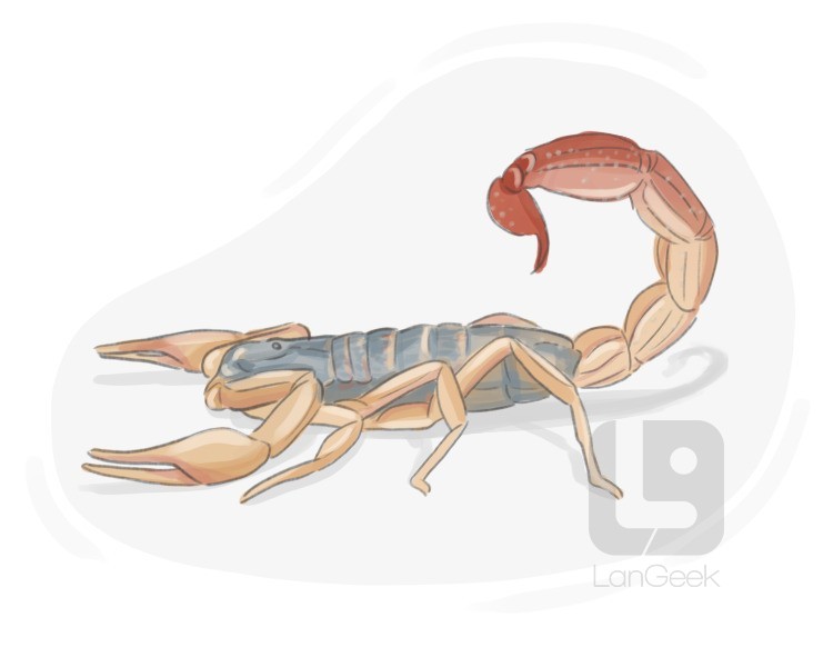 scorpion definition and meaning