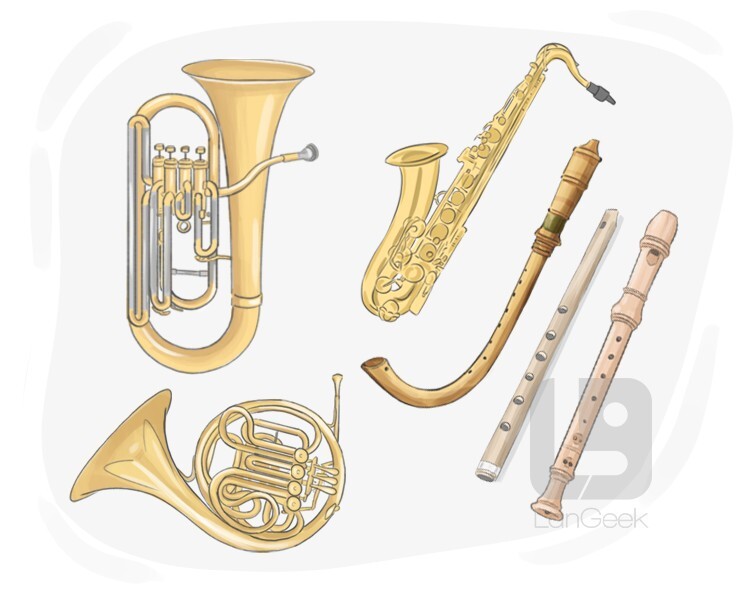 woodwind instrument definition and meaning